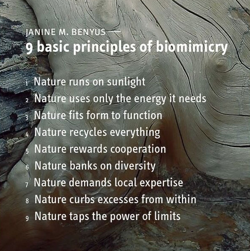 Nine Basic Principles