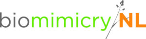 BiomimicryNL Logo